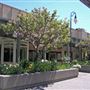 Montgomery Village