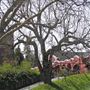 Petaluma Blvd North
