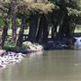 Roberts Lake