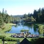 Robertson House Vacation Rental
