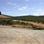 Raymond Burr Vineyards - Deer Creek Valley