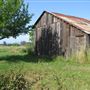 Siesta Farm