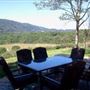 Wolf Run Vineyards