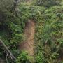 Little River Blowhole Trail