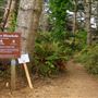 Little River Blowhole Trail