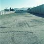 Alamo Street Towing