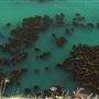Mendocino Headlands State Park (SP)