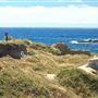 Mendocino Headlands State Park (SP)