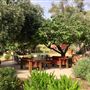 Old Creek Ranch Winery