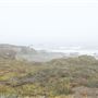 MacKerricher State Park (SP)