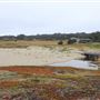 MacKerricher State Park (SP)
