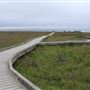 MacKerricher State Park (SP)