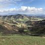 Willow Creek Ranch