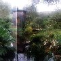 The Bodega Bay Secret Gardens - fka Compass Rose Garden