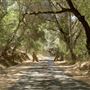Hutsell Road