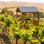 Viansa Sonoma Winery