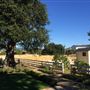 Acacia Farms