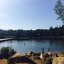 Howarth Park