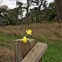 Smidgemore Property - Private Beach Cove & Bluffs with Vacant Cottages
