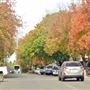 Ukiah - Downtown - School Street