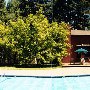 Creekside Inn and Resort
