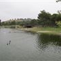 Frank G. Bonelli Regional Park / Puddingstone Reservoir