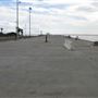 Port of Los Angeles - POLA / West Harbor / AltaSea Research Campus / Wilmington Waterfront Promenade