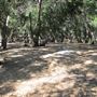 Placerita Canyon State Park (SP) / Placerita Canyon Natural Area / Placerita Nature Center