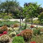South Coast Botanic Garden