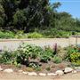 South Coast Botanic Garden