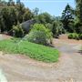 South Coast Botanic Garden