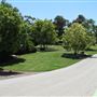 South Coast Botanic Garden