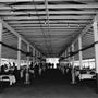 Monterey County Fair - 7th DAA