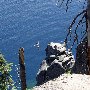D.L. Bliss State Park (SP)