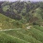 Edmonston Pump Plant Road / Pipeline thru Tejon Ranch - Department of Water Resources (DWR)
