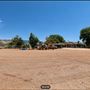 Rozich Road Ranch - 33855 Rozich Rd - Agua Dulce