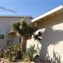 High Desert Gem - Fisher Family Desert Farm