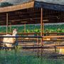 Oreana Winery & Vineyard - Fisco