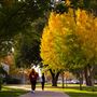 University of the Pacific - UOP / Stockton / Sacramento / San Francisco