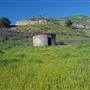 Bracaccini Ranch Property - 50 acres open field / Ranch House / Barns