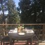 Zeleny Rustic Cabin - Mountain Hideaway Retreat