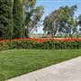 Belle Vie Vineyard and Event Center