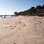 El Pescador State Beach @ Robert H. Meyer Memorial State Beach (SB) - CFC