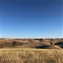Enney Ranch @ Paso Robles