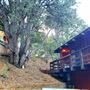 Calm Cabin: Retro Mountain Forest Home - Pine Mountain Club