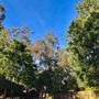Middle Ranch