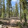 Lassen Volcanic National Park