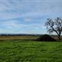 Sacramento River Bend