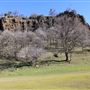 Meadowbrook Ranch