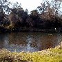 Bidwell Park 5 Mile Recreation Area